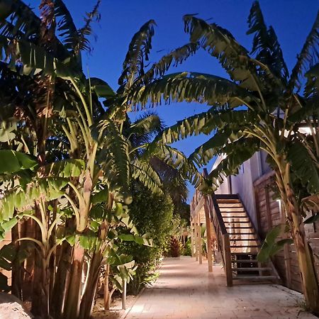 The Forest - Saint Martin 4 Etoiles Cul de Sac 外观 照片